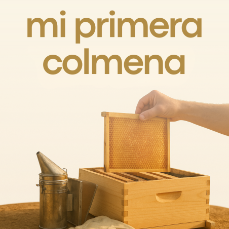 Mi Primera Colmena